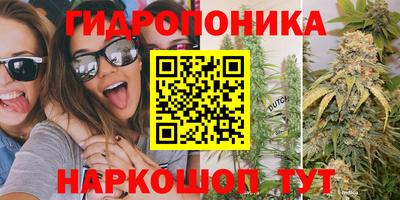 PSILOCYBIN Кингисепп