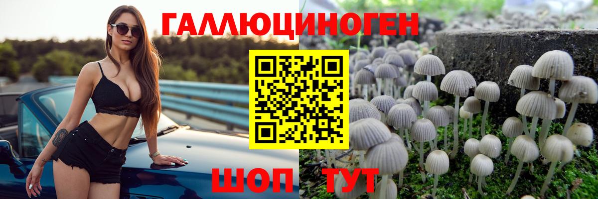 Псилоцибиновые грибы мухоморы Таганрог